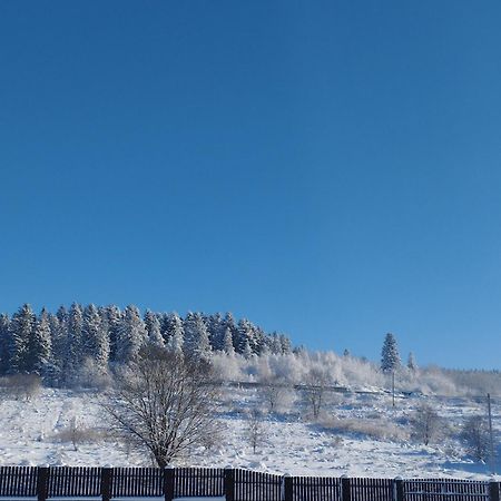 Перлина Карпат Lägenhet Skhidnytsia Exteriör bild